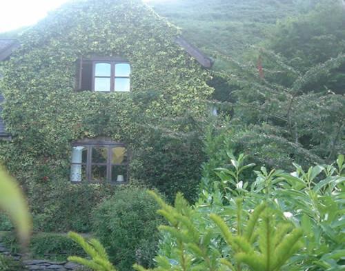 Horseshoe Pass Holiday Lets ランゴレン 部屋 写真
