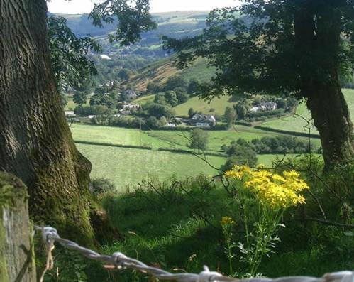 Horseshoe Pass Holiday Lets ランゴレン 部屋 写真